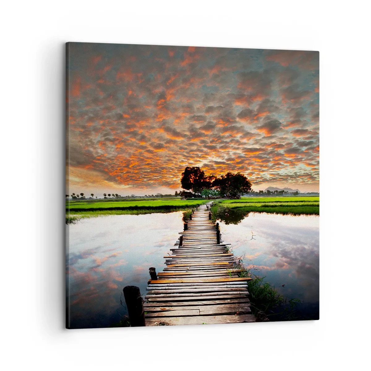 Obraz na plátne - Roztiahnite ruky - dýchajte  - 50x50 cm