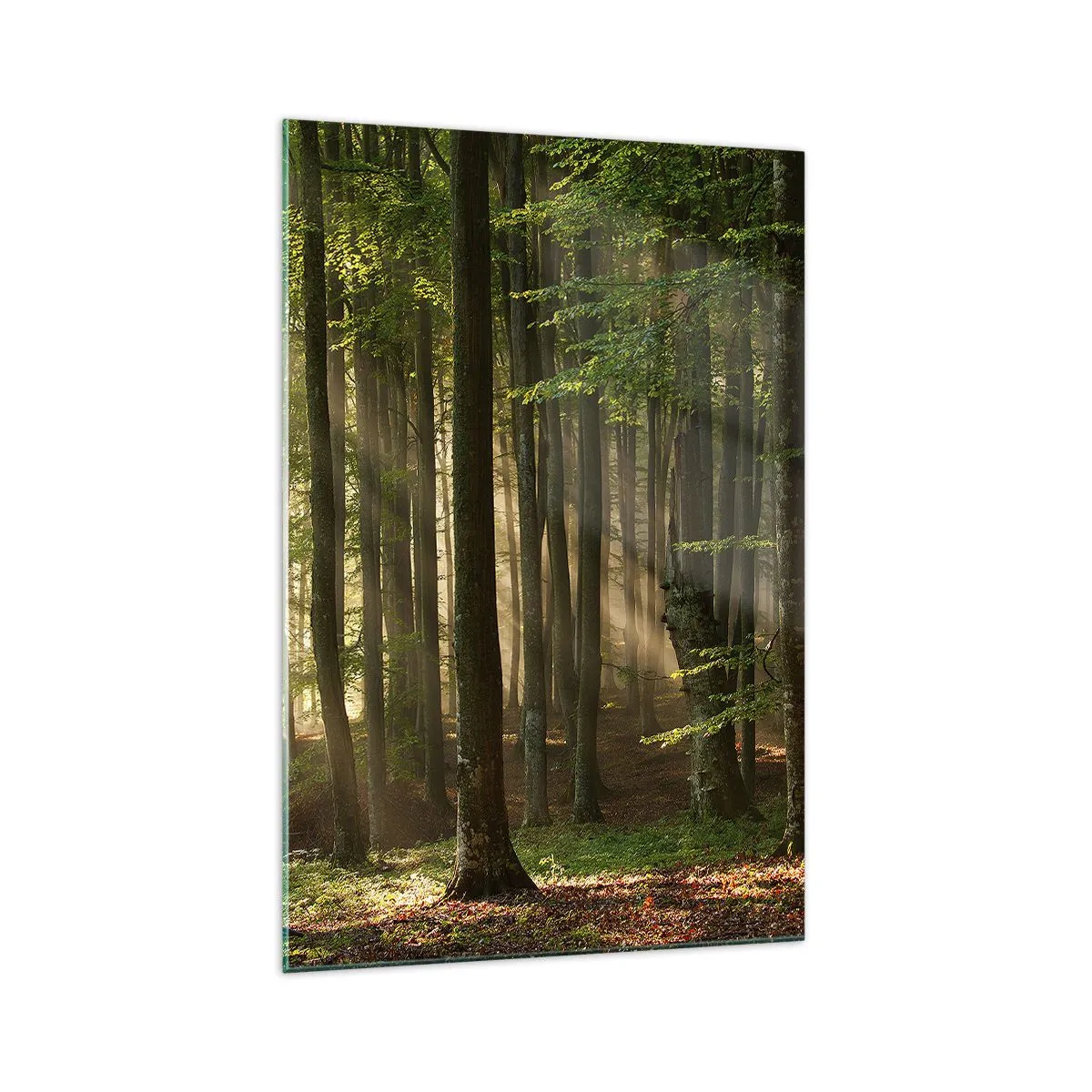 Obraz na skle - Rozžiarený v jarnom ráne - 70x100 cm
