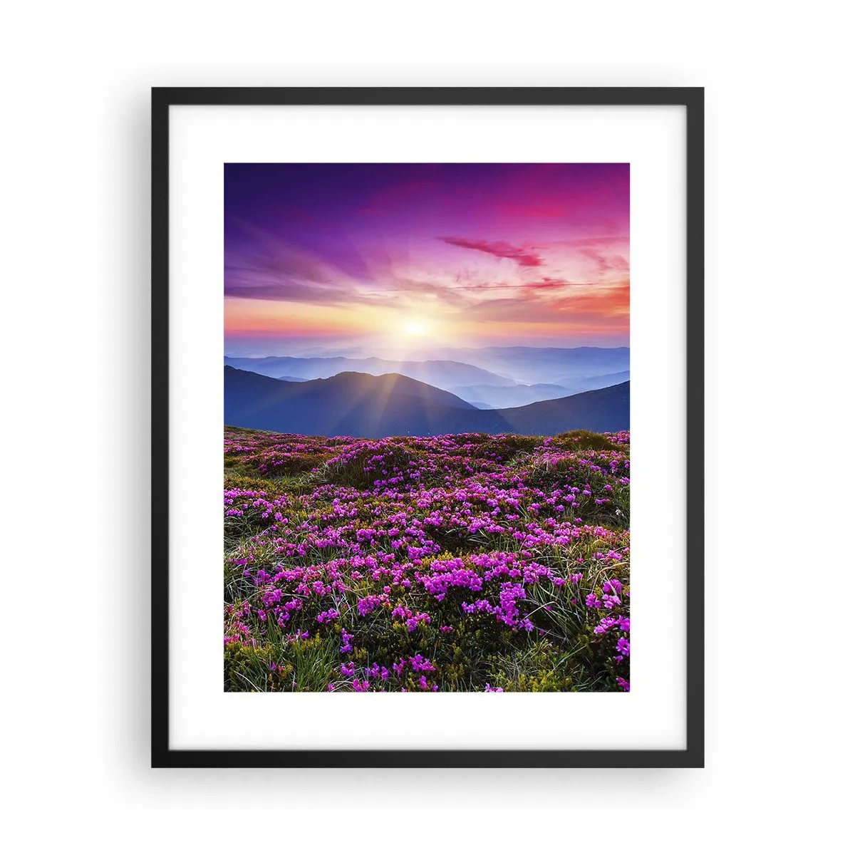 Plagát v čiernom ráme - Zavoňali svieže púčiky byliniek z obilných polí - 40x50 cm