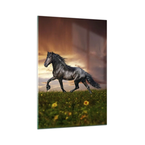 Obraz na skle - Čierny knieža - 70x100 cm