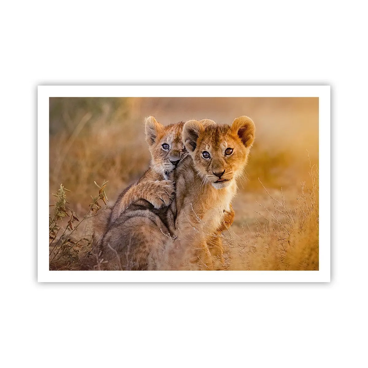 Plagát - Nevyrušovať! Hrajme sa - 91x61 cm