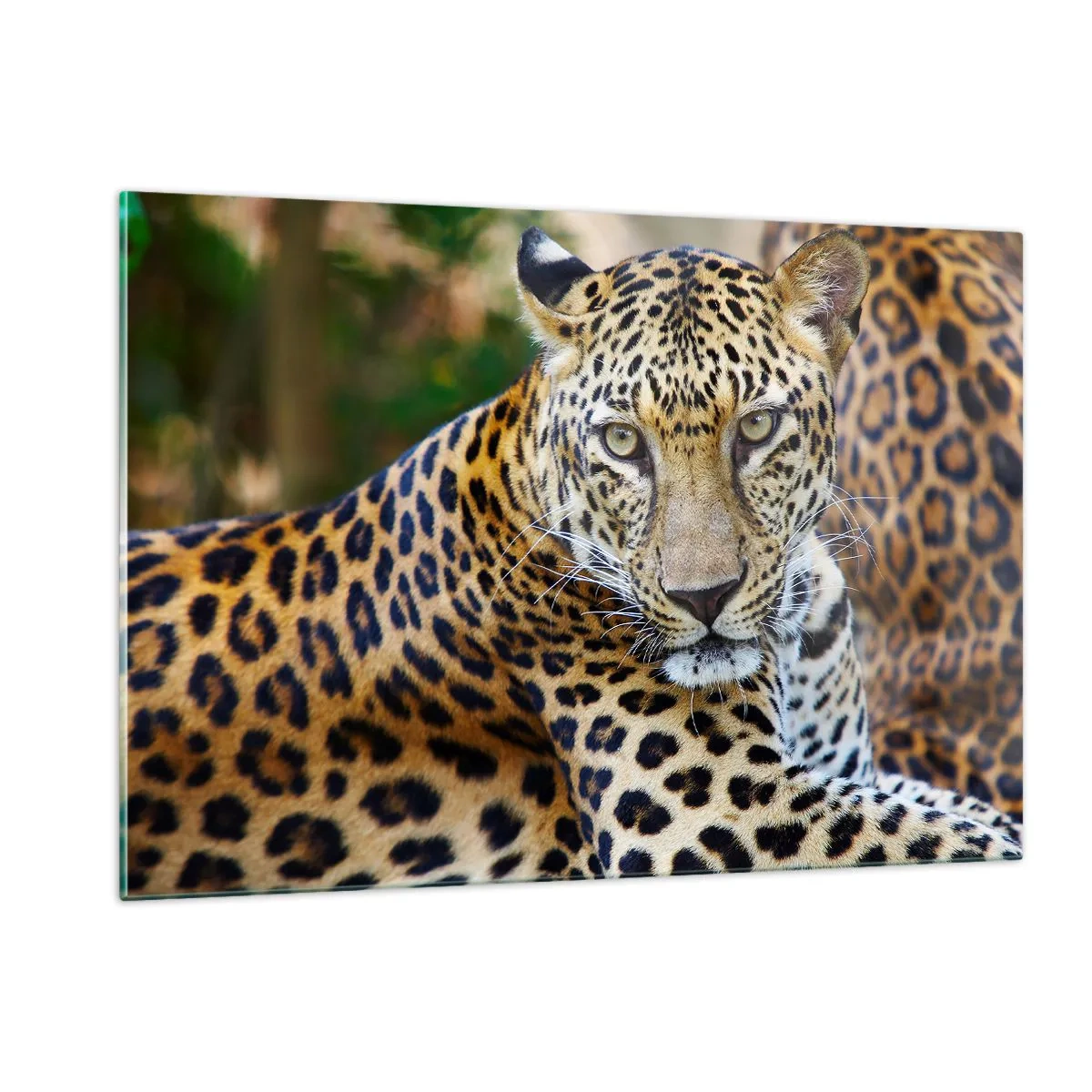 Obraz na skle - Divoký a pokojný - 120x80 cm