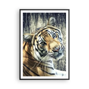 Plagát v čiernom ráme - Portrét v prameňoch svetla - 70x100 cm