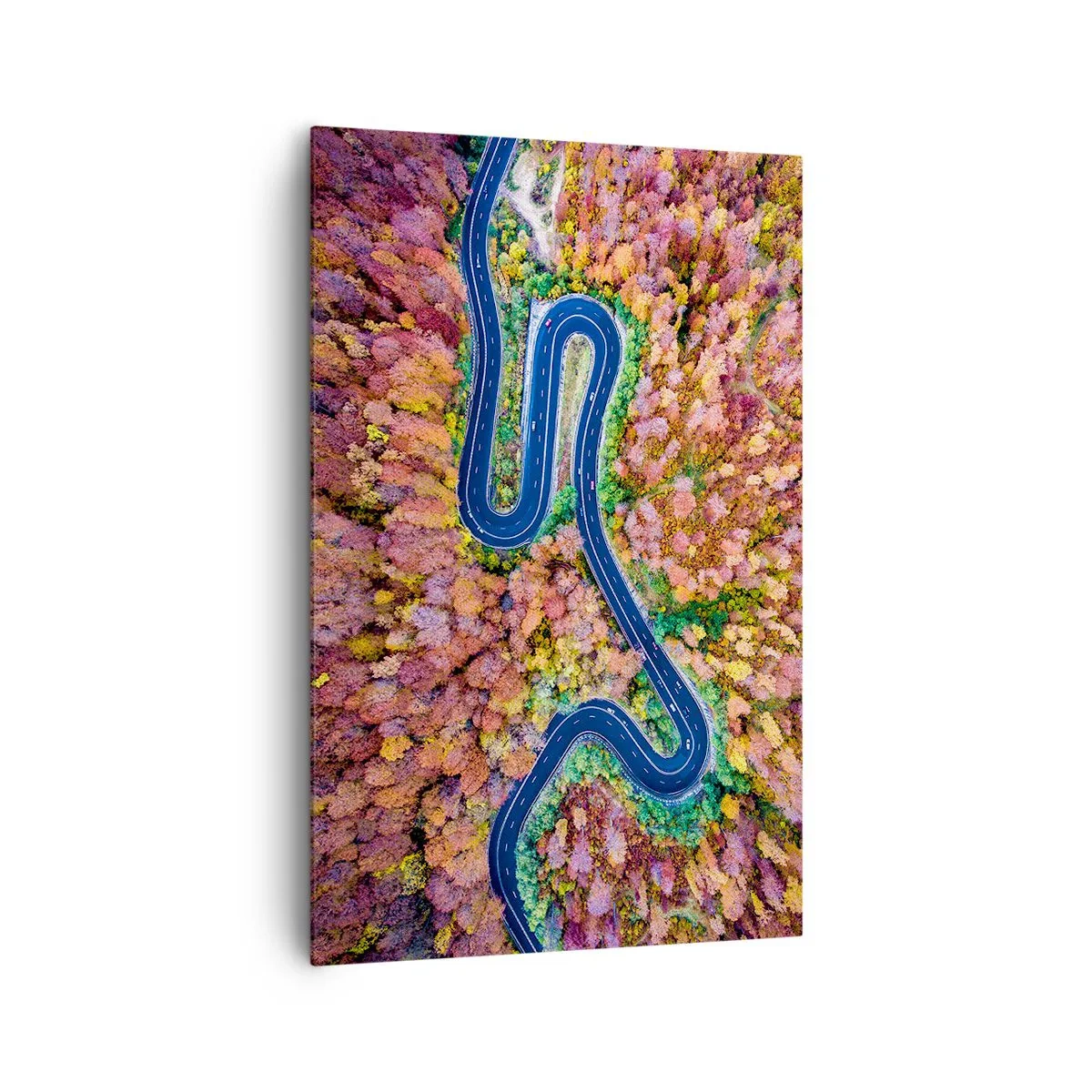 Obraz na plátne - Kľukatá cesta lesom - 80x120 cm