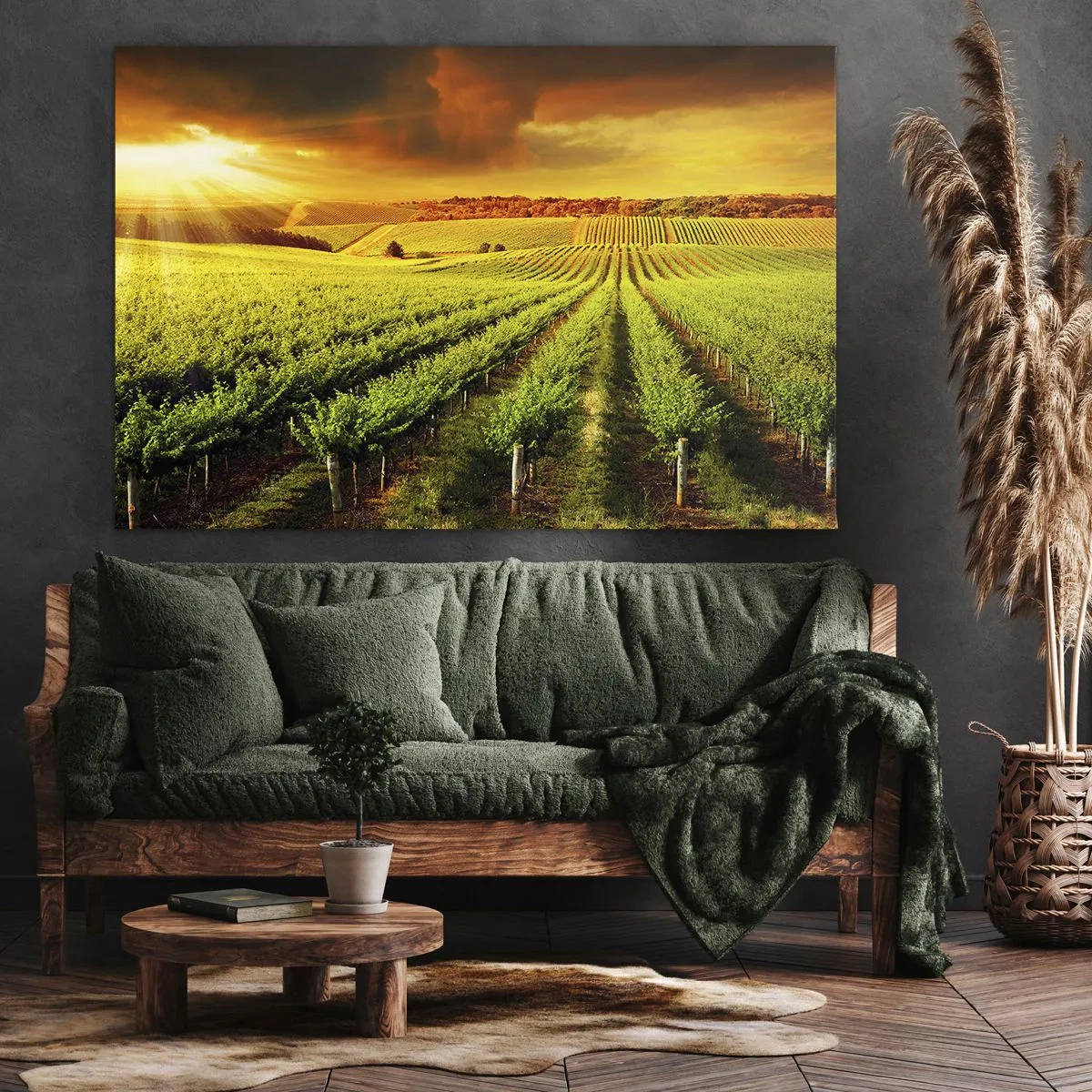 Obraz na plátne - Zlaté vinice osvetlené slnečnými lúčmi - 70x50cm - Pod austrálskym slnkom - Moderná nástenná dekorácia do obývacej izby a spálne ARTTOR