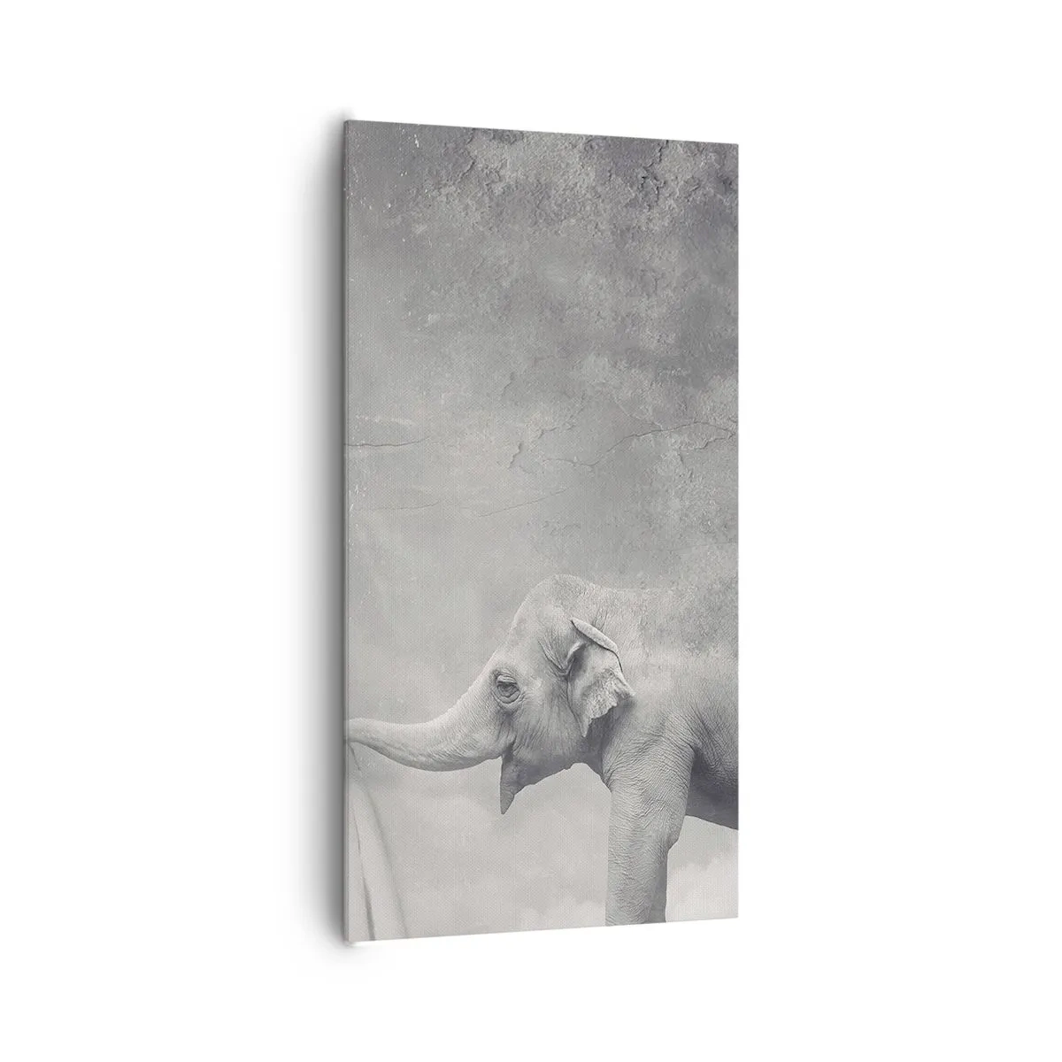 Obraz na plátne - Odhaliť tajomstvo - 65x120 cm