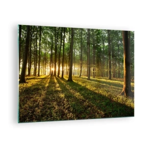 Obraz na skle - Lesná čistinka osvetlená lúčmi vychádzajúceho slnka - 70x50cm - Fotografie všetkých jarí - Moderná nástenná dekorácia do obývacej izby a spálne ARTTOR