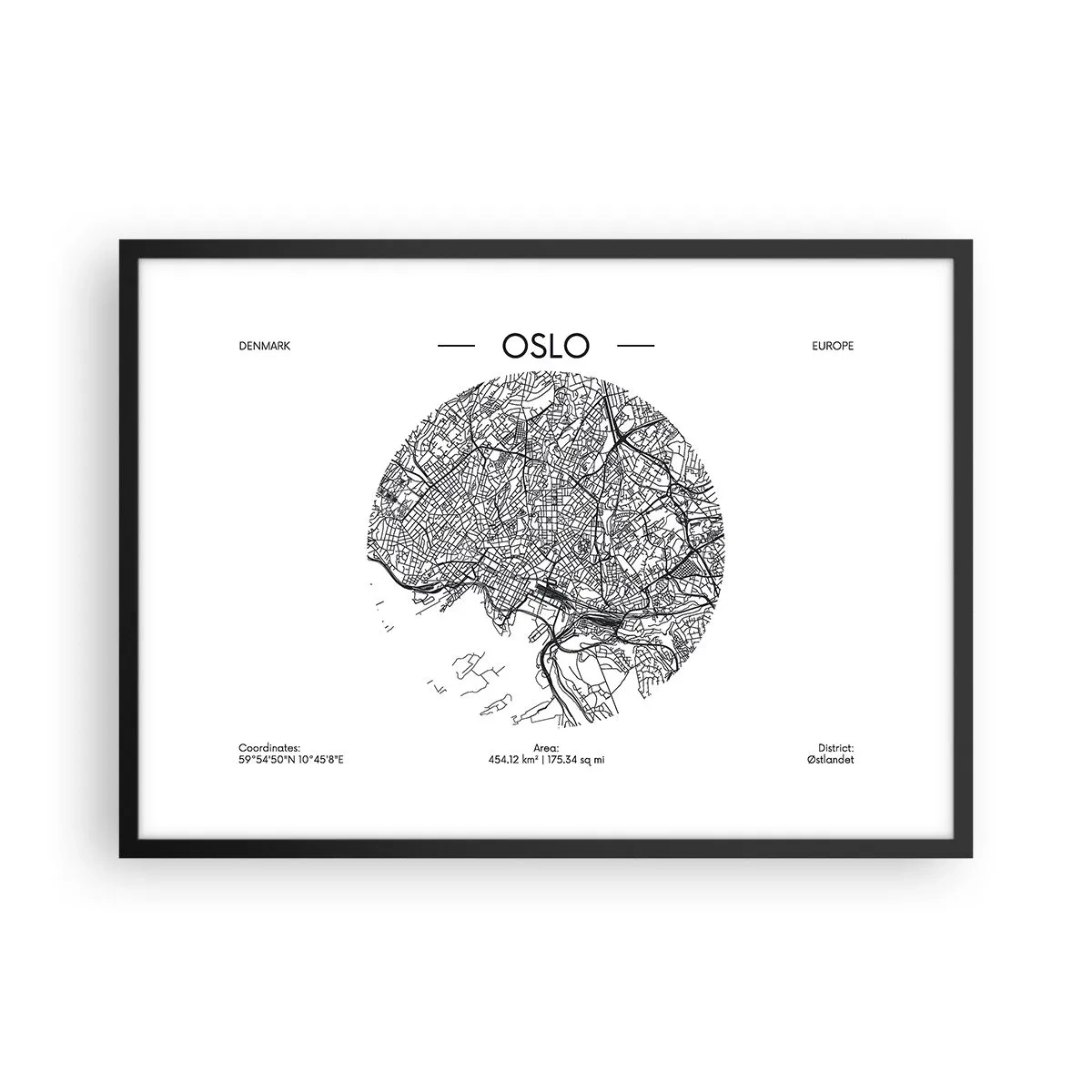 Plagát v čiernom ráme - Anatómia Osla - 70x50 cm