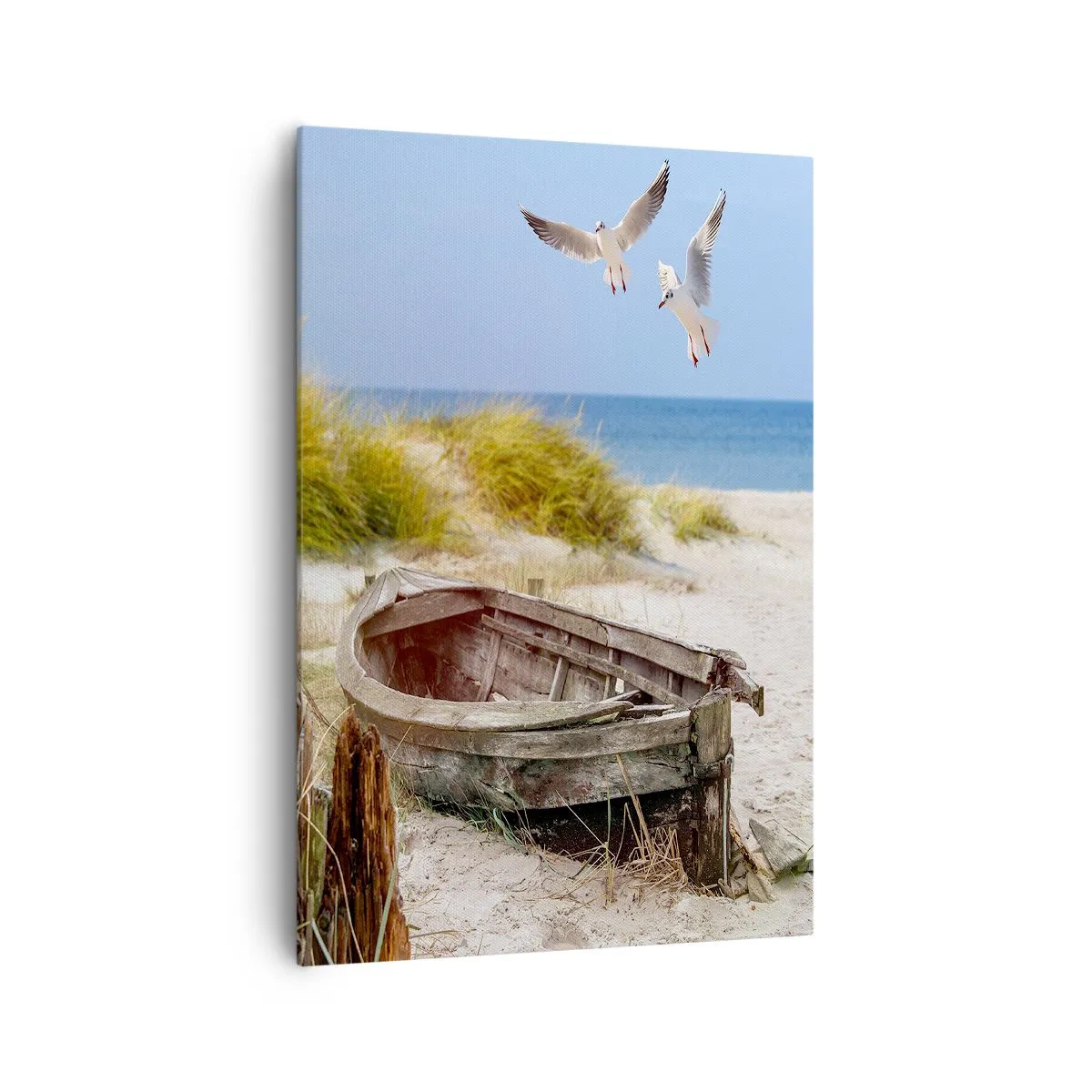 Obraz na plátne - Vetrom ožiarené - 70x100 cm