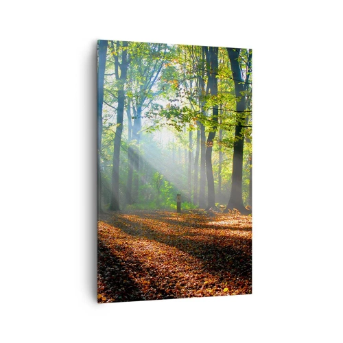 Obraz na plátne - Svetlá a tiene - 80x120 cm