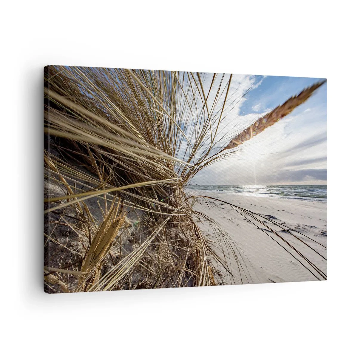 Obraz na plátne - Pláž so suchou trávou na dunách a výhľadom na more - 70x50cm - Stretnutie živlov - Moderná nástenná dekorácia do obývacej izby a spálne ARTTOR