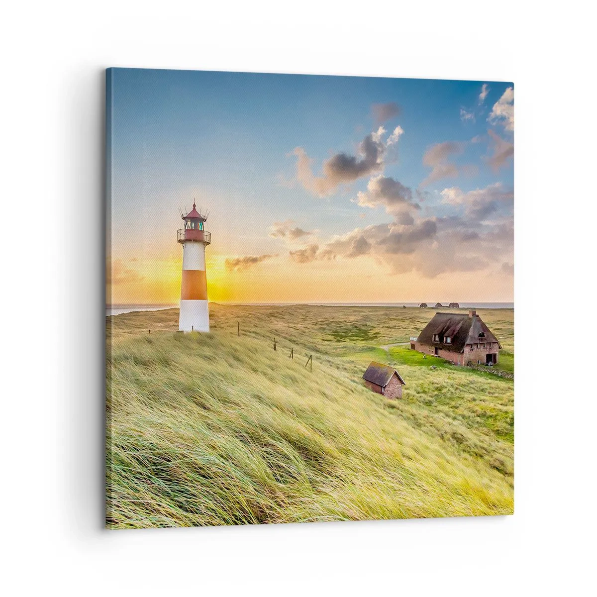 Obraz na plátne - Medzi vlnami - 60x60 cm