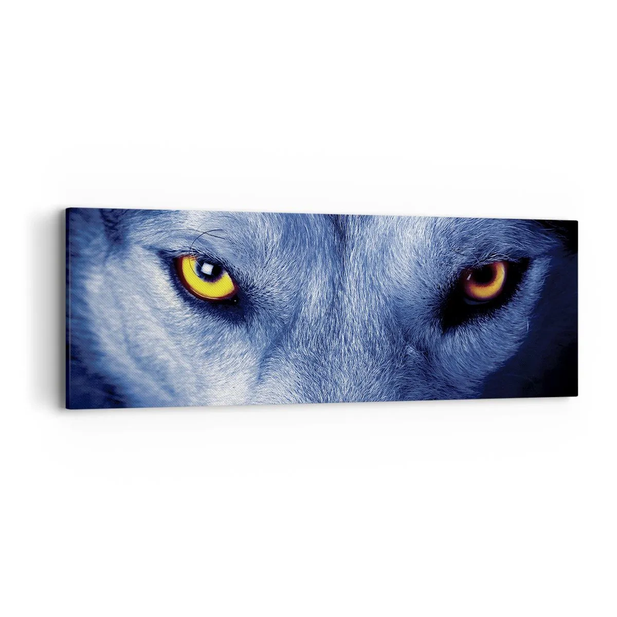 Obraz na plátne - Fascinujúci pohľad - 90x30 cm