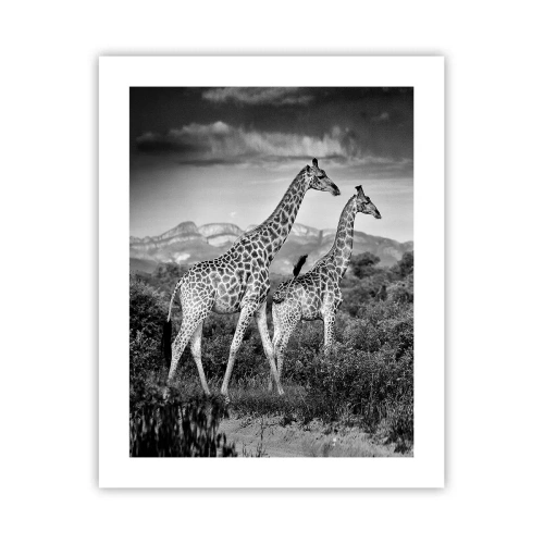 Plagát - Vyššie kruhy v Afrike - 40x50 cm