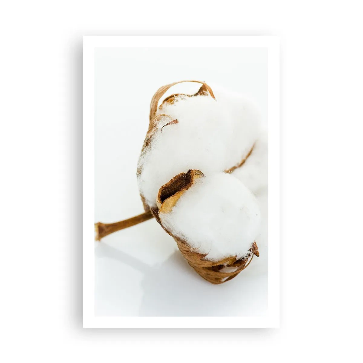 Plagát - Mäkká od prírody - 61x91 cm