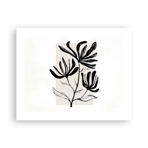 Plagát - Náčrtok pre herbár - 50x40 cm