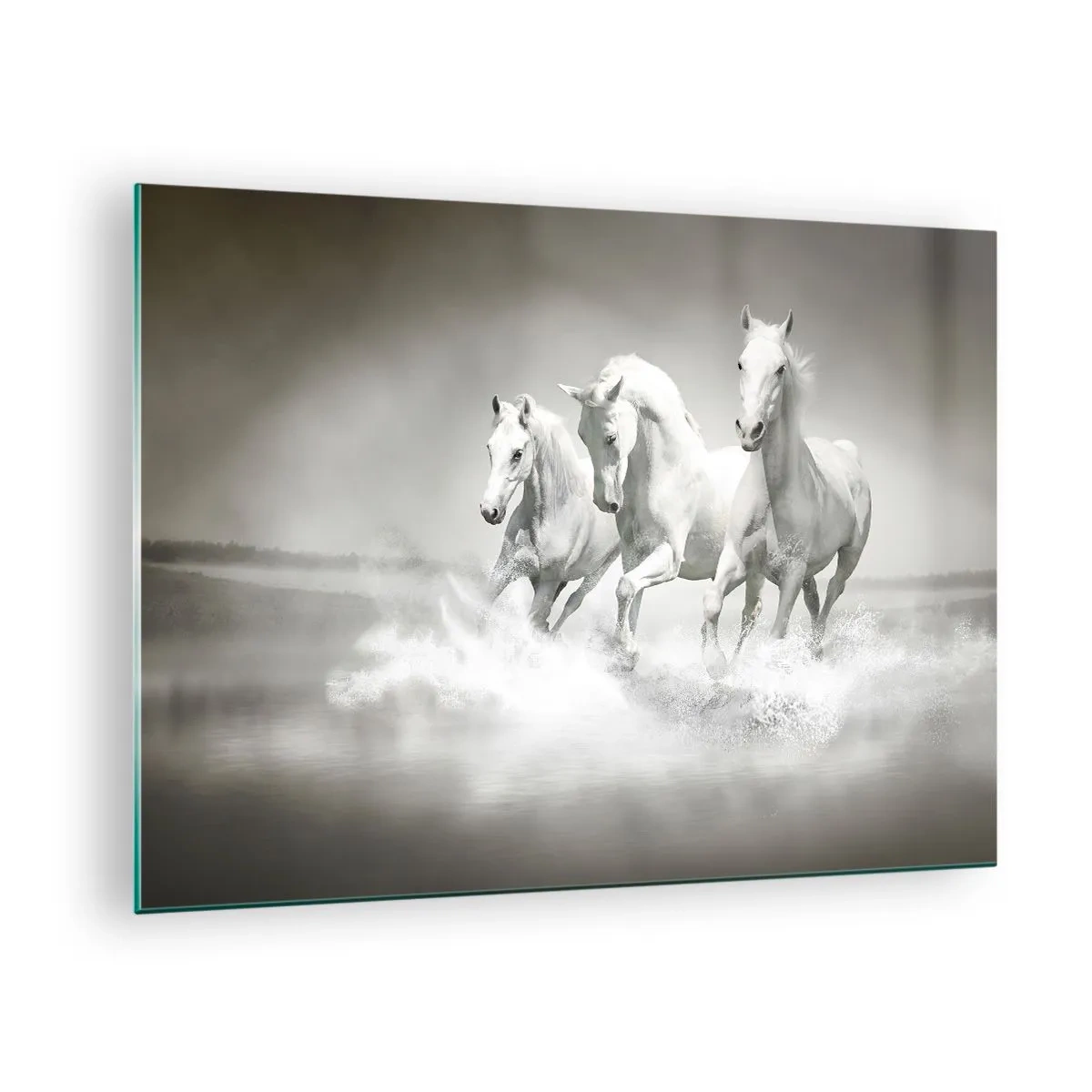 Obraz na skle - Tri biele kone cválajúce cez vodu - 70x50cm - Biele šialenstvo - Moderná nástenná dekorácia do obývacej izby a spálne ARTTOR
