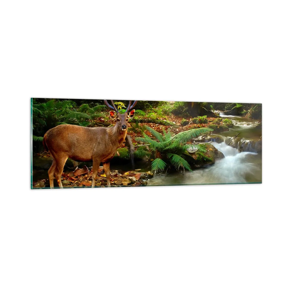 Obraz na skle - Vítajte v mojom svete - 90x30 cm