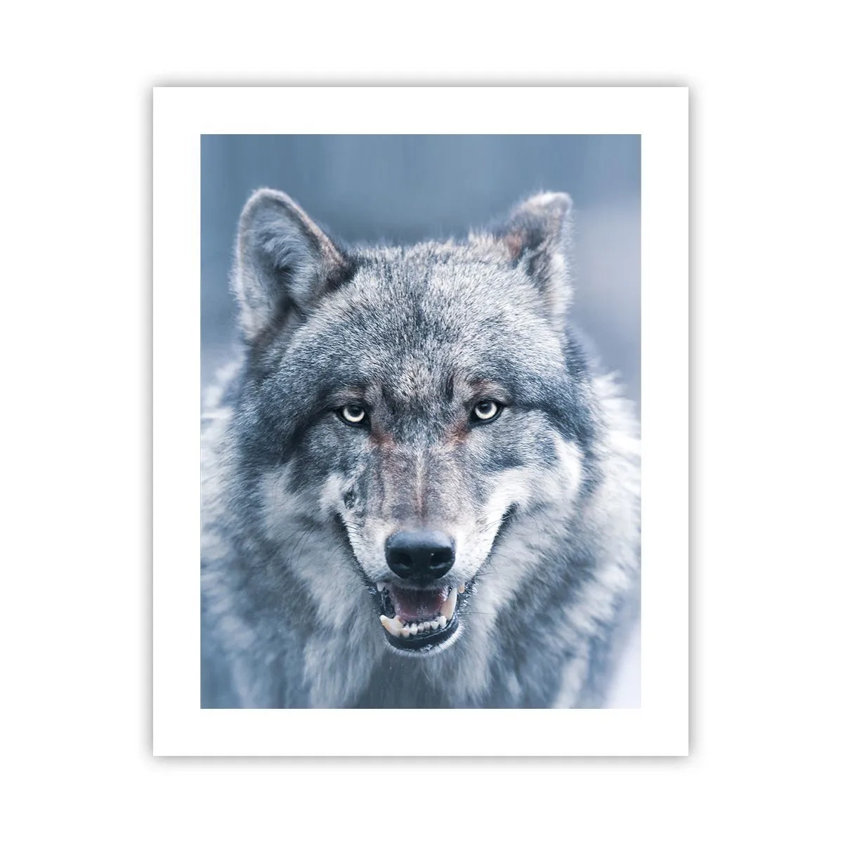 Plagát - Prijmete túto výzvu? - 40x50 cm