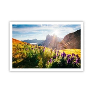 Plagát - Tajomný život bylín - 91x61 cm