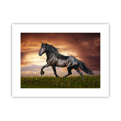 Plagát - Čierny knieža - 40x30 cm