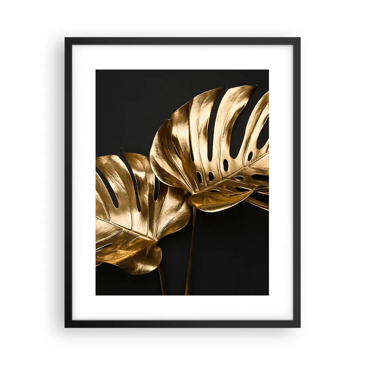 Plagát v čiernom ráme - Poklady prírody - 40x50 cm