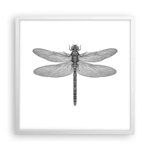 Plagát v bielom ráme - Presnosť prírody - 50x50 cm