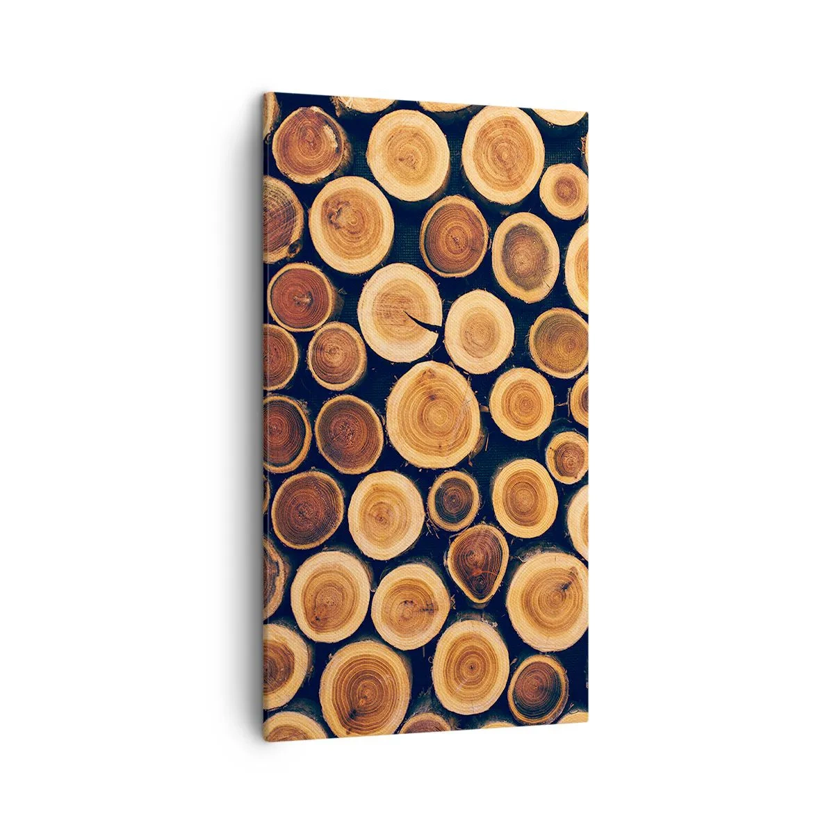 Obraz na plátne - Na koľko vyzerám? - 45x80 cm