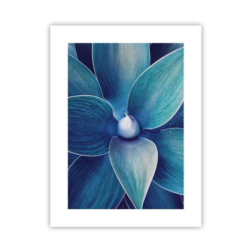 Plagát - Modrastý od neba - 30x40 cm