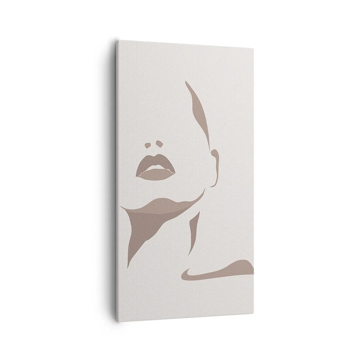 Obraz na plátne - Stvorená zo svetla a tieňa - 55x100 cm