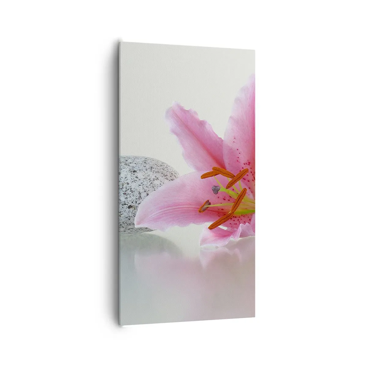 Obraz na plátne - Štúdia v ružovej, šedej a bielej - 65x120 cm