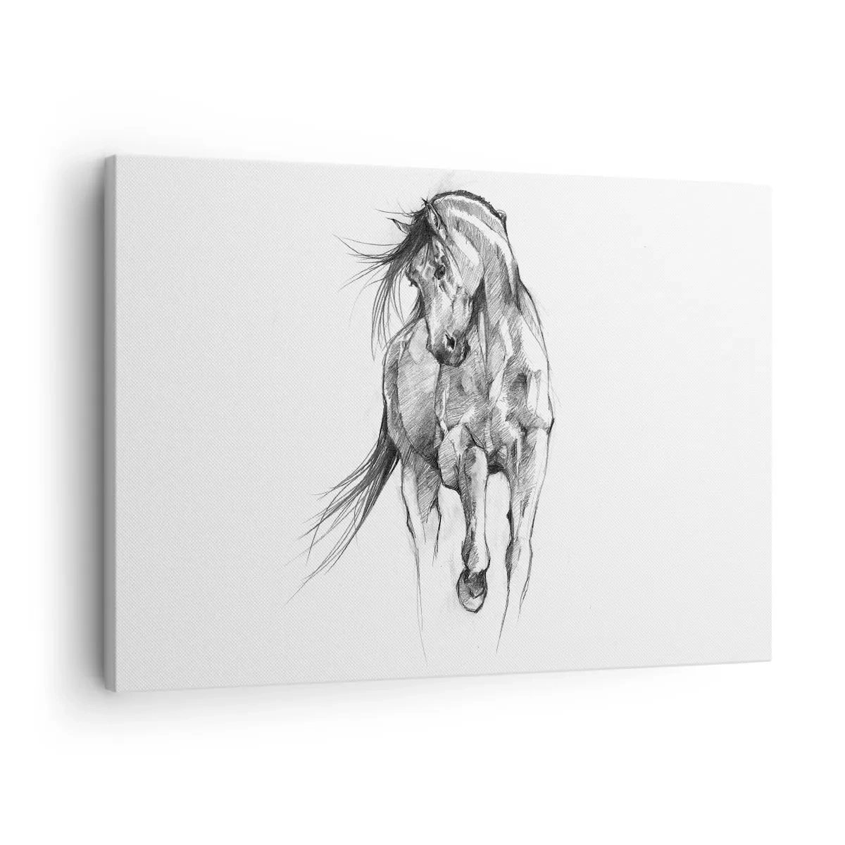 Obraz na plátne - Čiernobiely náčrt cválajúceho koňa - 70x50cm - V ladnom kluse - Moderná nástenná dekorácia do obývacej izby a spálne ARTTOR