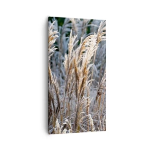 Obraz na plátne - Mrazom pokryté - 55x100 cm