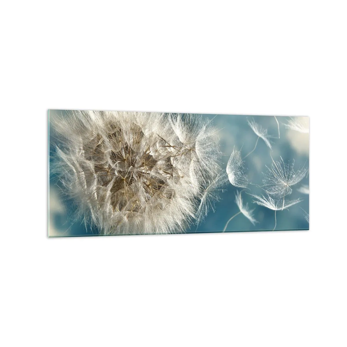 Obraz na skle - Dych anjela - 120x50 cm