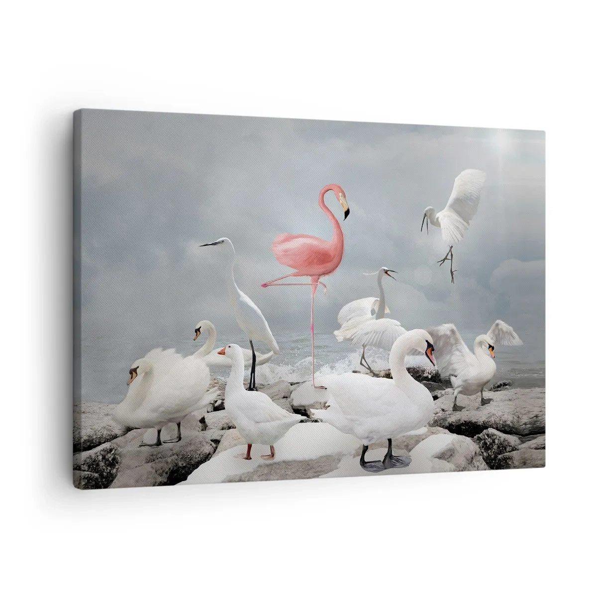 Obraz na plátne - Ružový plameniak medzi bielymi labuťami na pozadí jazera - 70x50cm - Kde som sa tu vzal? - Moderná nástenná dekorácia do obývacej izby a spálne ARTTOR