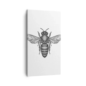 Obraz na plátne - Hmyzí portrét - 45x80 cm