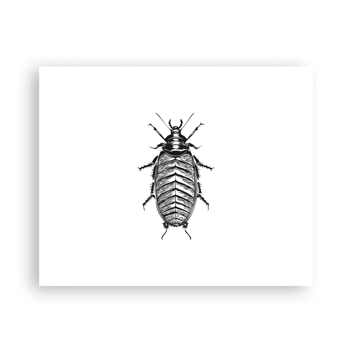 Plagát - Vzorový exemplár! - 50x40 cm