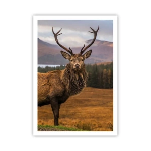 Plagát - Majestát prírody - 70x100 cm