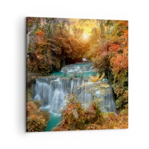 Obraz na plátne - Ukrytý poklad lesa - 50x50 cm