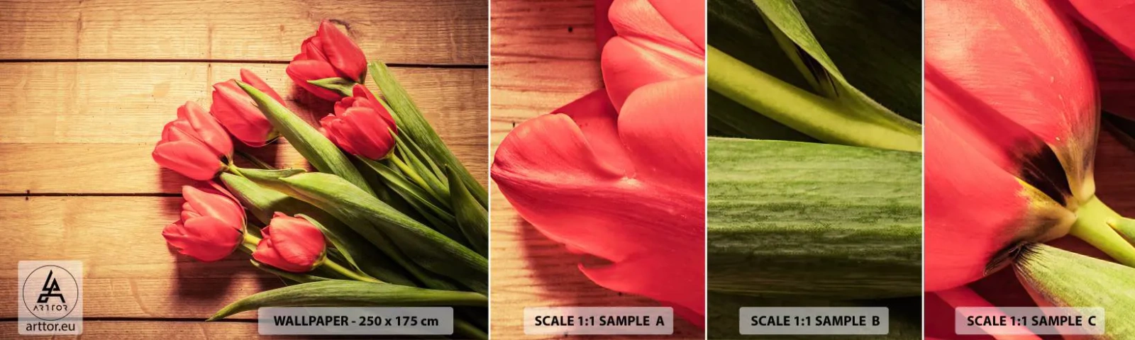 Vzorka Fototapeta Standard Eco - Jarné vyznanie - Kvety, Tulipány, Kytica kvetov - 100x30 cm