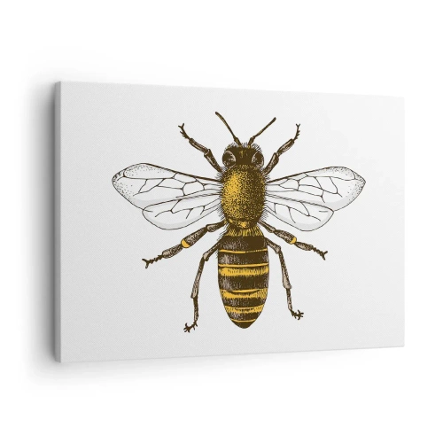 Obraz na plátne - Detailná ilustrácia včely na bielom pozadí - 70x50cm - Krásna a dobrá - Moderná nástenná dekorácia do obývacej izby a spálne ARTTOR