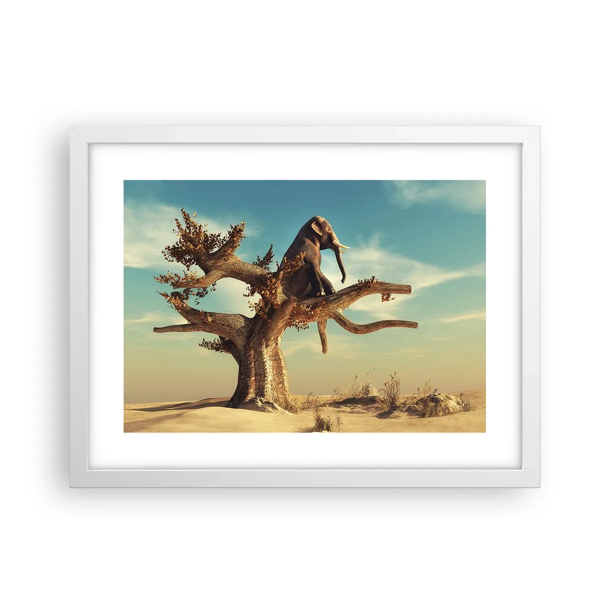 Plagát v bielom ráme - Nový uhol pohľadu - 40x30 cm