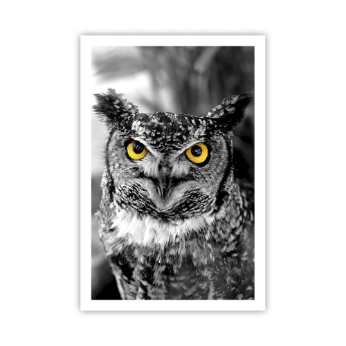 Plagát - Nič sa neschová - 61x91 cm