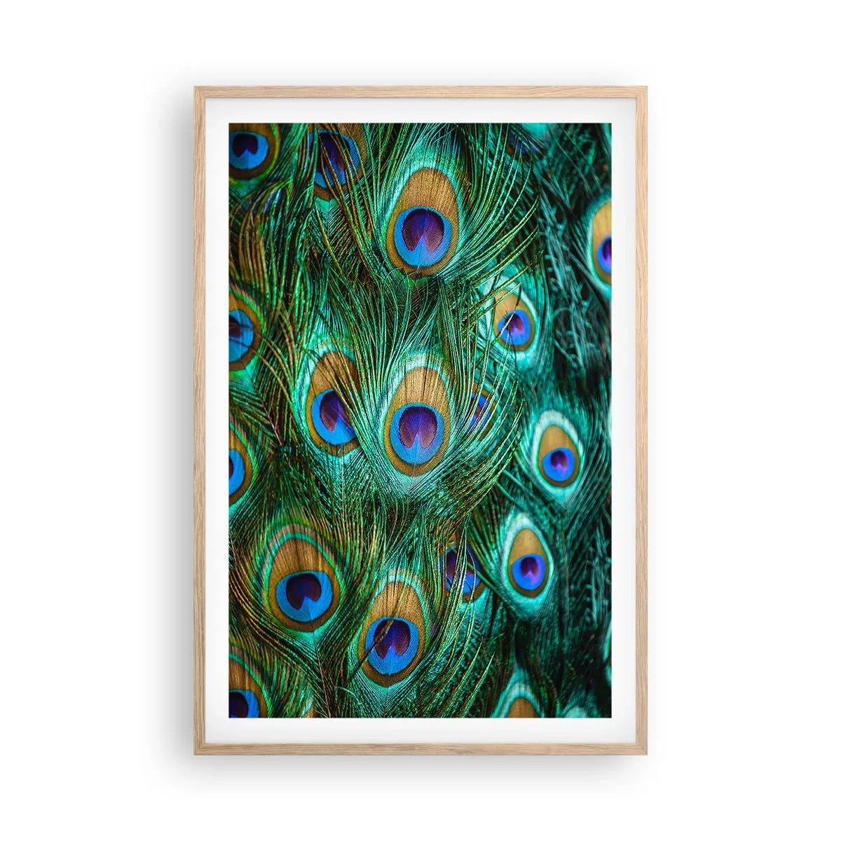 Plagát v ráme zo svetlého duba - Páví pohľad - 61x91 cm