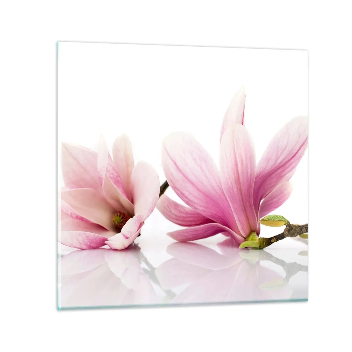Obraz na skle - Jemné ako závan jari - 70x70 cm