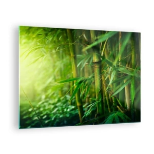 Obraz na skle - Zelený bambusový les na slnku - 70x50cm - Poznať samotnú zeleň - Moderná nástenná dekorácia do obývacej izby a spálne ARTTOR