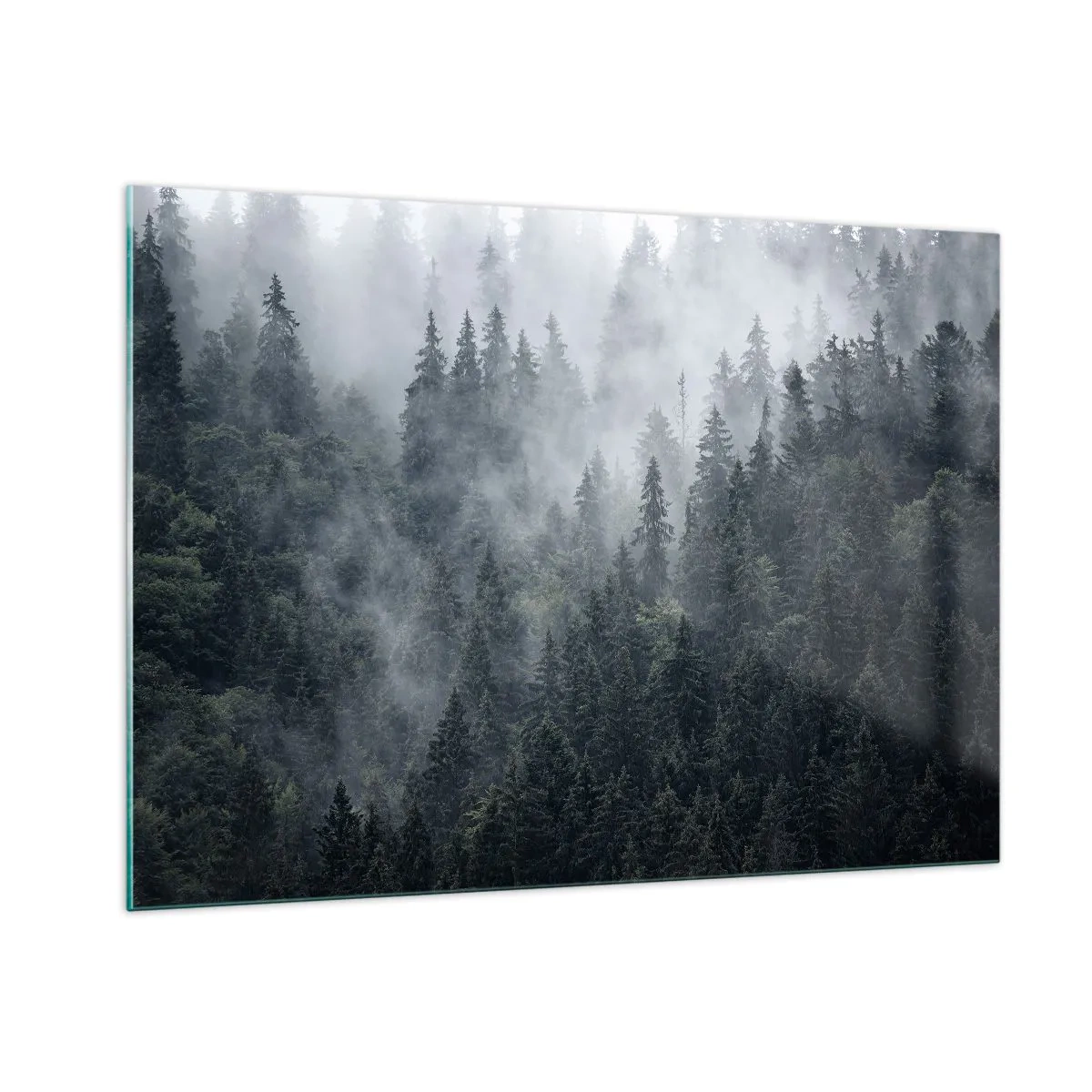 Obraz na skle - Lesné svitania - 100x70 cm