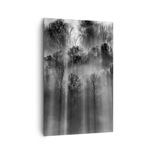 Obraz na plátne - V lúčoch svetla - 80x120 cm