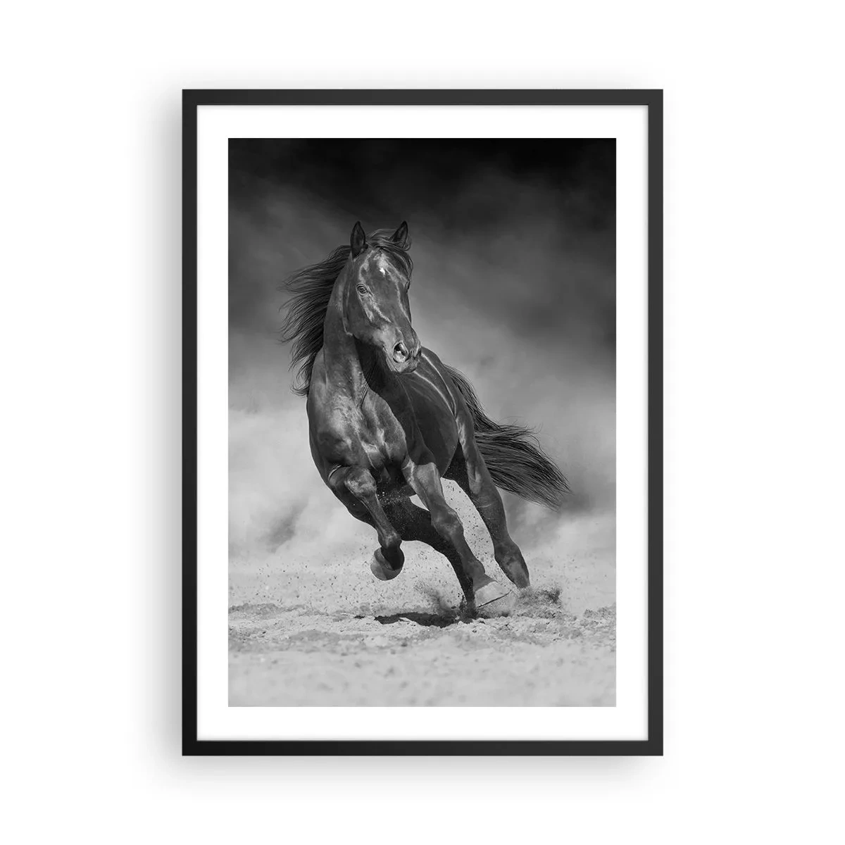 Plagát v čiernom ráme - Temný kôň v dynamických pretekoch - 50x70cm - Hodné samotného emira - Moderná nástenná dekorácia do obývacej izby a spálne ARTTOR