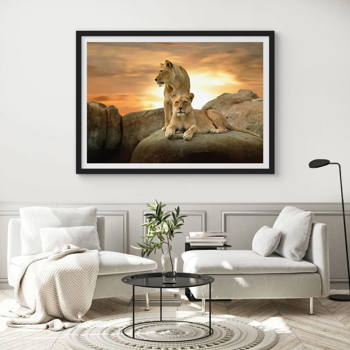 Plagát v čiernom ráme - Kráľovský majestát - 70x50 cm